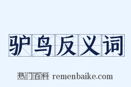 驴鸟反义词是什么意思的图片